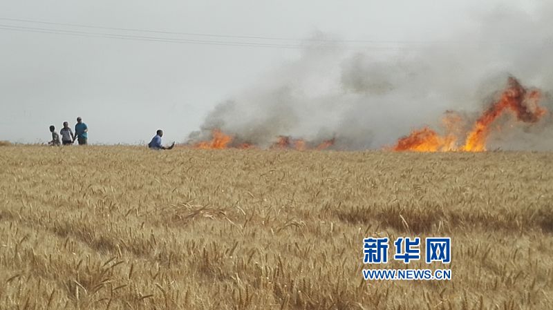 #(新華網(wǎng))(2)山東桓臺:麥田起火